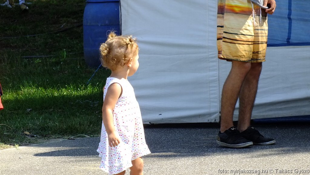 dinnyefesztival2016_104.jpg